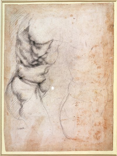 Study of Torso and Buttock (recto) by Michelangelo Buonarroti